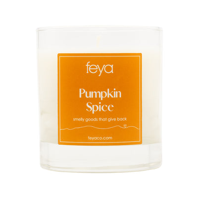 Feya Pumpkin Spice 6.5 oz Candle 
